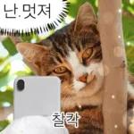 냥이짤방.jpg