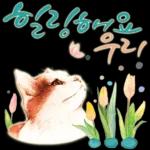 늘, 함께해요.. 반려묘의 사랑메세지