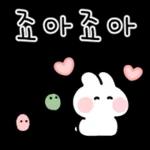 토끼의 일상 생활