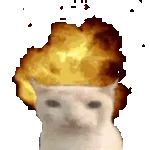 늦게까지 뭐 해?	답장 좀😤