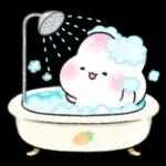 오동오동 귀욤찐 밀크티토끼