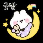 사랑둥이 애기토끼 앙토!