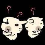 흘긋흘긋 털강아지