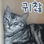 고양이다냥