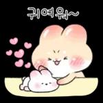 오동오동 귀욤찐 밀크티토끼