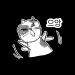 점냥아 오늘만 참자