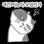 점냥아 오늘만 참자