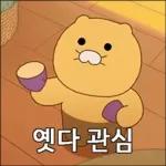 도도도 춘식이