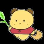 알감자곰의 일상