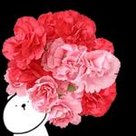 이야기 꽃이 피었습니다 