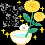 연소정해