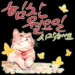 늘, 함께해요.. 반려묘의 사랑메세지