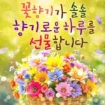 플라워힐링메세지 2