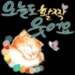 늘, 함께해요.. 반려묘의 사랑메세지