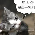냥이짤방.jpg