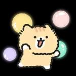 빱실빱실 고영이 2