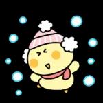 오삐는 겨울에도 즐거워