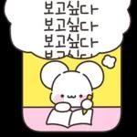 빠미는 사랑이 가득해 2