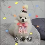 산책 가기 딱 좋은 날씨! 🐕