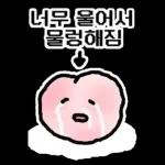 딱한 것...