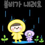 봄비가 내려요