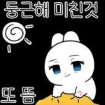 미소녀 토끼