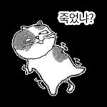 점냥아 오늘만 참자