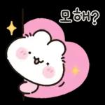 사랑둥이 애기토끼 앙토!