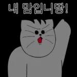 내 맘이니까!