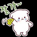 비만 댕댕이의 라이프스타일