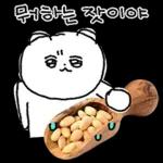 청과물 그리고 눈빛