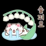 뿌니의 향기로운 꽃인사