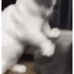 해 볼까해 볼까해 볼까?