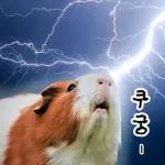 기여븐 기니햄짤.zip