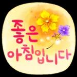 밤 하늘을 봐요~~