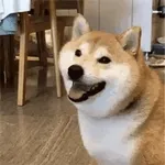 오늘 하루, 사랑도 돈도 다 잡을 거예요!