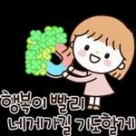 귀염뿜뿜 행복한 고양이