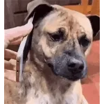 오늘 하루, 사랑도 돈도 다 잡을 거예요!