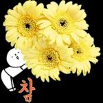 이야기 꽃이 피었습니다 