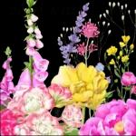 鲜艳꽃束问候表情包2