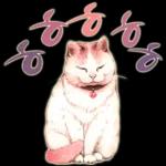 늘, 함께해요.. 반려묘의 사랑메세지