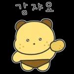 알감자곰의 일상