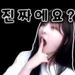 다래임 스티커ver.1