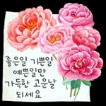 무료 꽃 텍스트 스티커