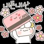 하양이의 일상