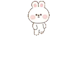 꽃 사랑 이모티콘555