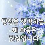 D
00
핑카나어디