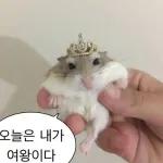 기다릴게요
천천히 오세요