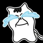 찌코는 안친해!