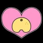 알감자곰의 일상